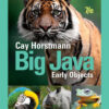 Big Java: Early Objects - 7th Edition