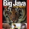 Big Java: Early Objects, Interactive Edition - 6th Edition
